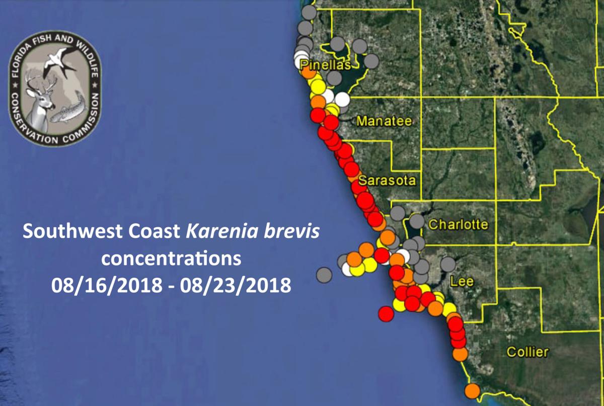 Pinellas County Red Tide Map San Antonio Topographic Map