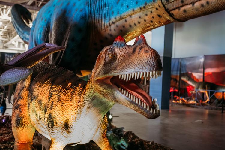 The Google Chrome dinosaur can run for 17 million years
