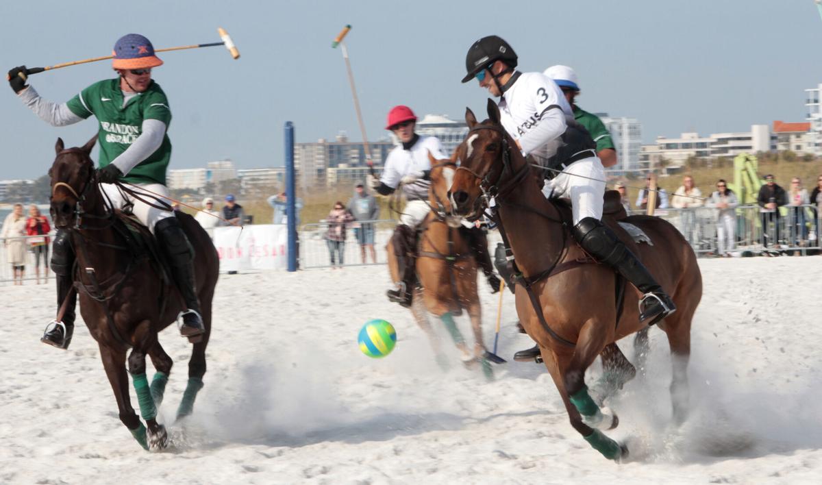 POLO 5