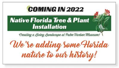 Palm Harbor Museum grounds to get a makeover