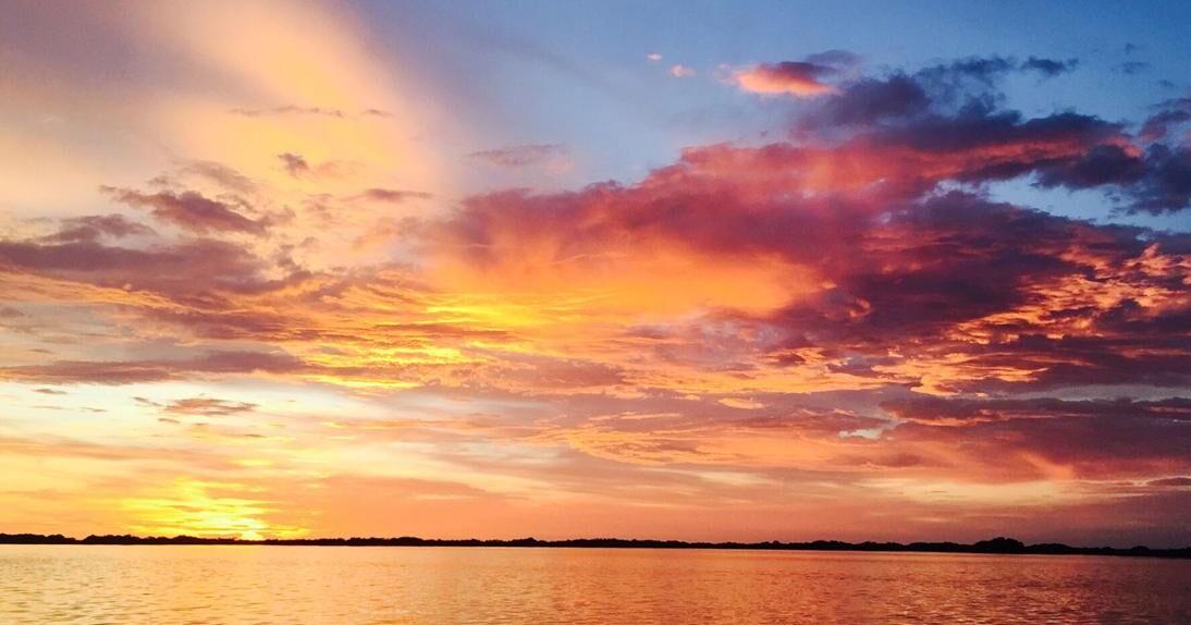 Column: Nature writers and storytellers might save Florida yet