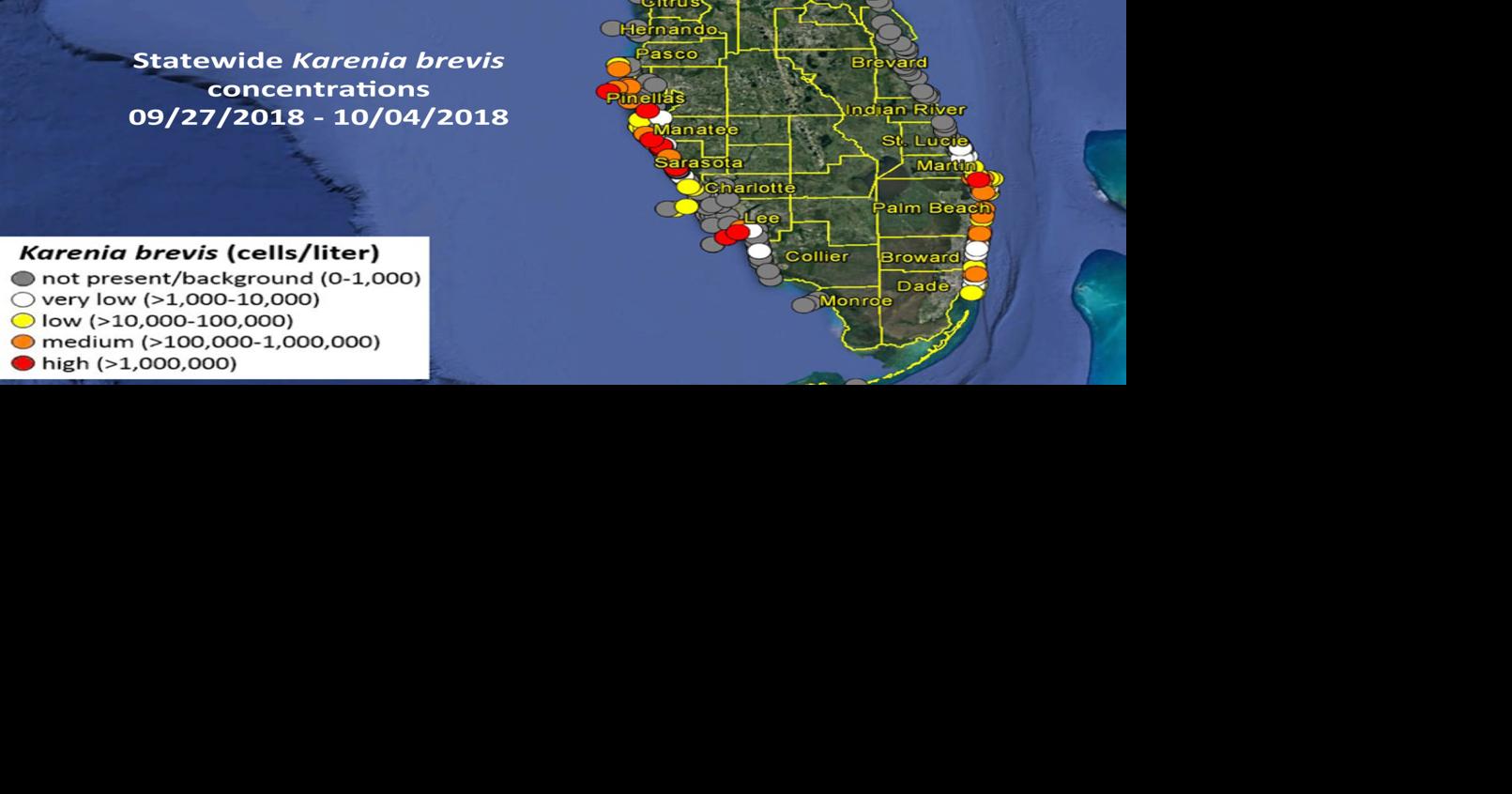 East winds keep red tide offshore mostly Pinellas County