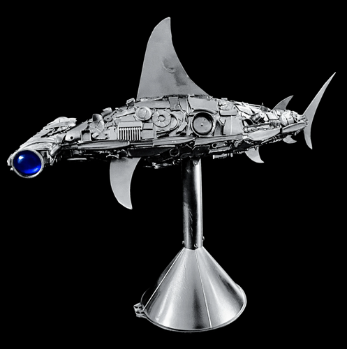 Dunedin teen uses art to push conservation | North County