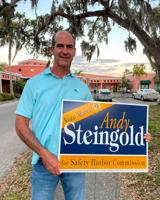 Familiar faces return to Safety Harbor commission