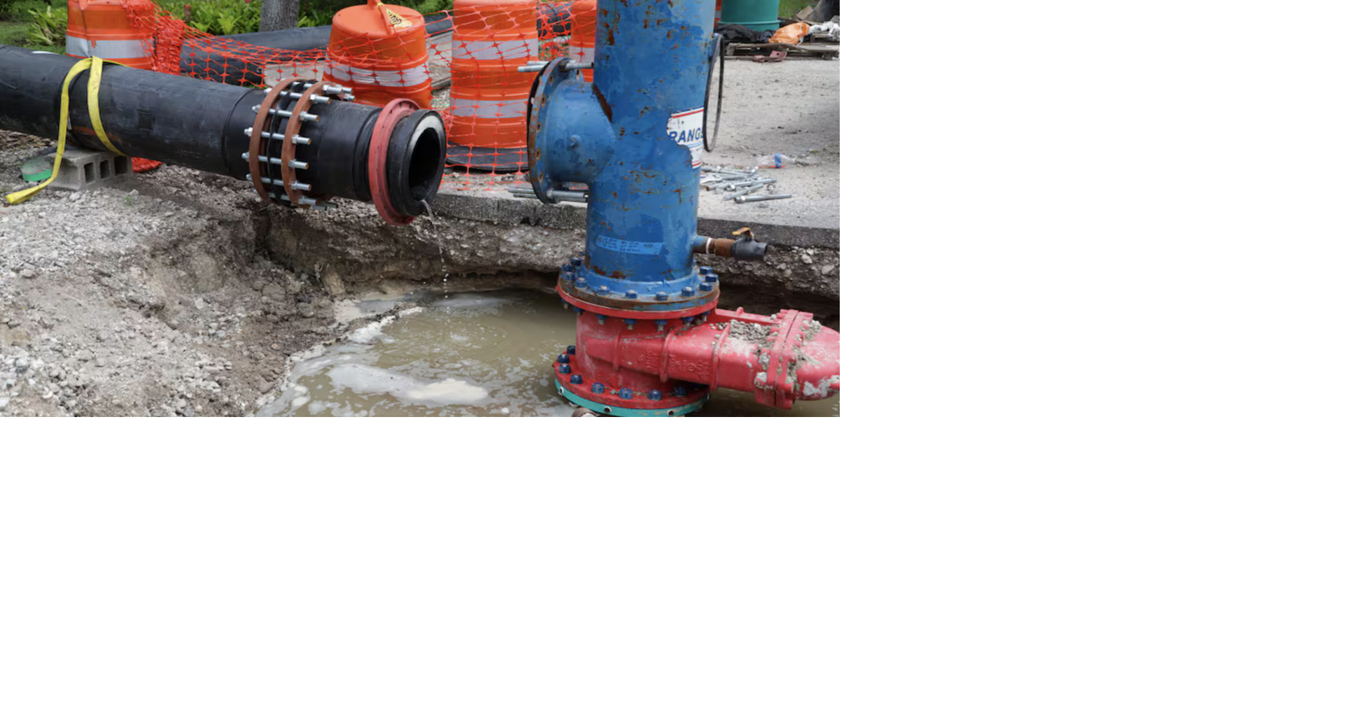 Column Rising seas threaten the Sunshine State’s most precious