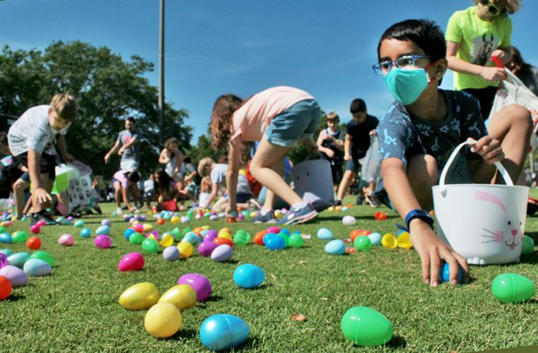 EGGS 1.jpg