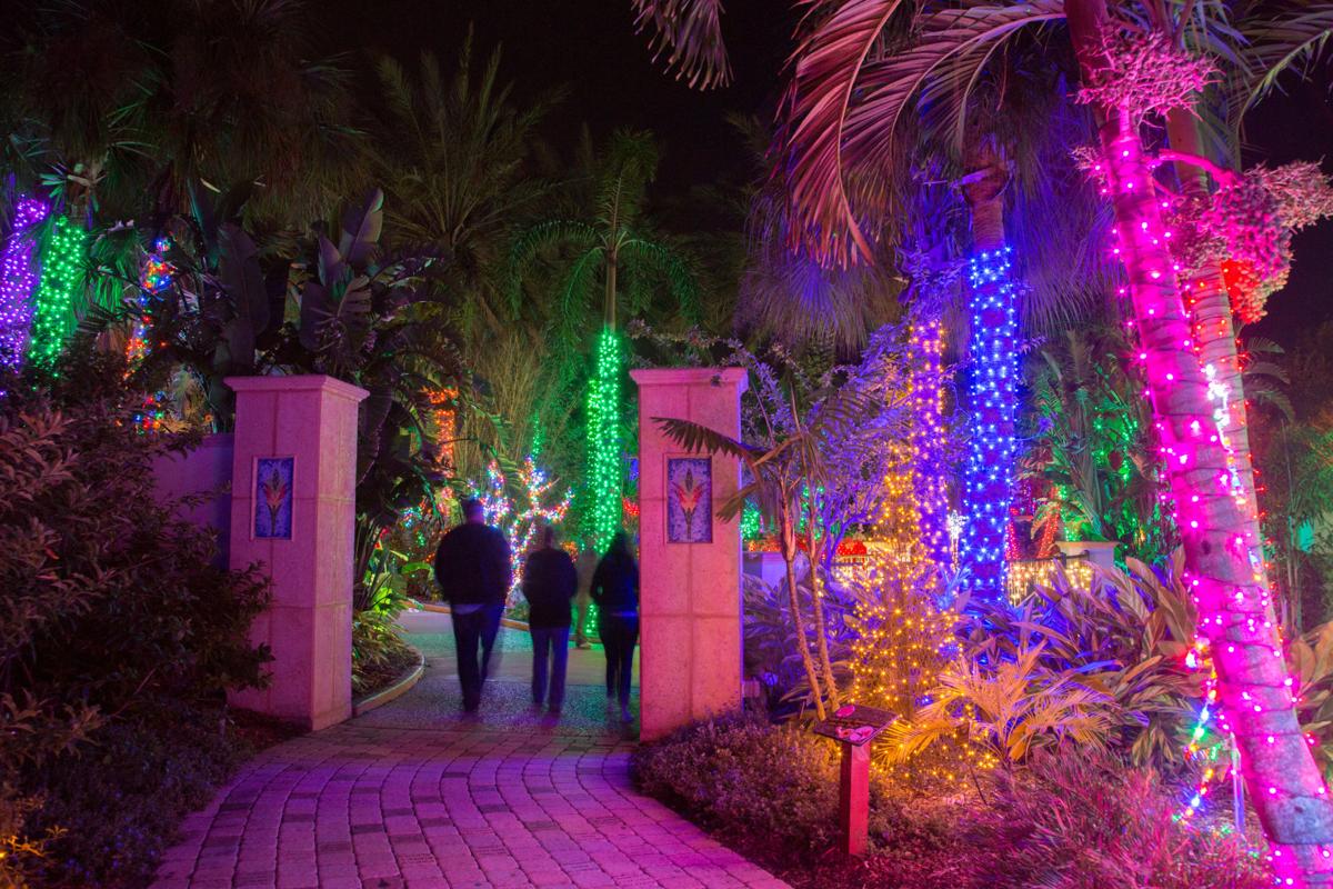 Florida Botanical Gardens Lights Up For The Holidays Pinellas County 