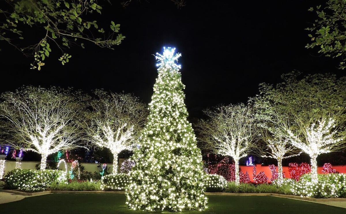 Holiday Lights in the Gardens returns in 2021