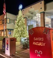 Oldsmar kicks off 2020 holiday season, virtually