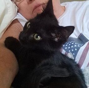 Onyx