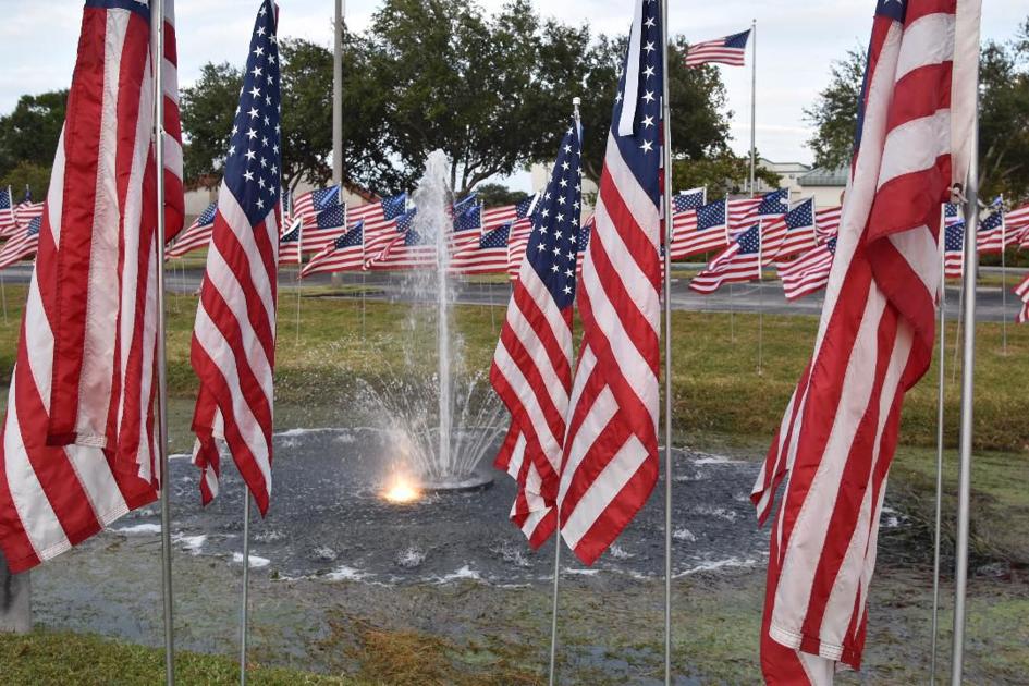 Ceremonies parades among ways Pinellas County celebrating Veterans Day