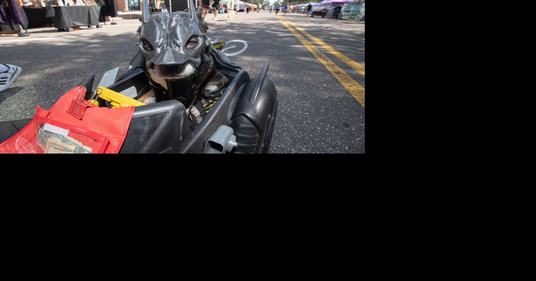 Halloween happenings around Pinellas Calendar tbnweekly com