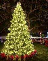 Belleair Bluffs residents pack City Park for Holiday Tree-Lighting
