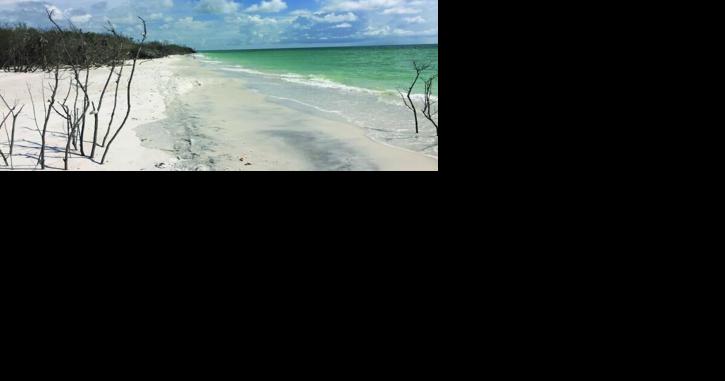 Dr. Beach names Caladesi Island fourth-best beach in the U.S. - Vimarsana News