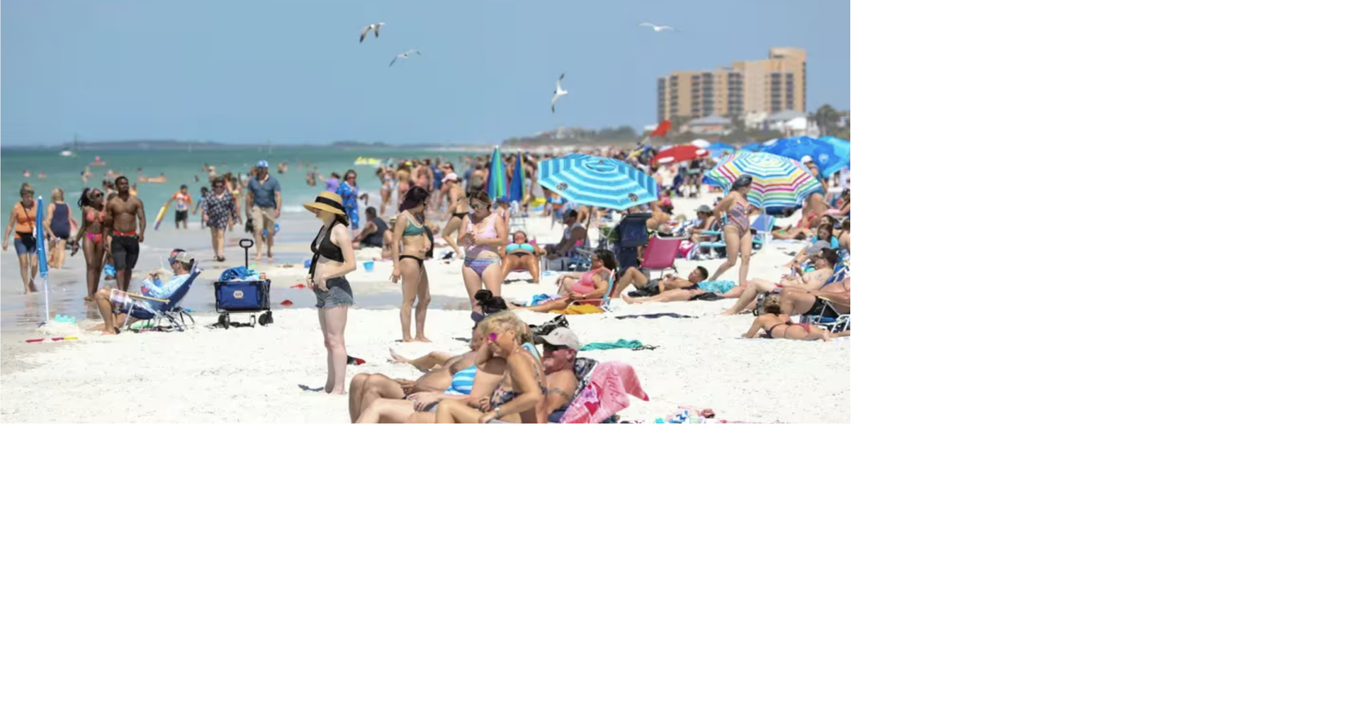Spring break is coming to Tampa Bay Things to do with the kids off