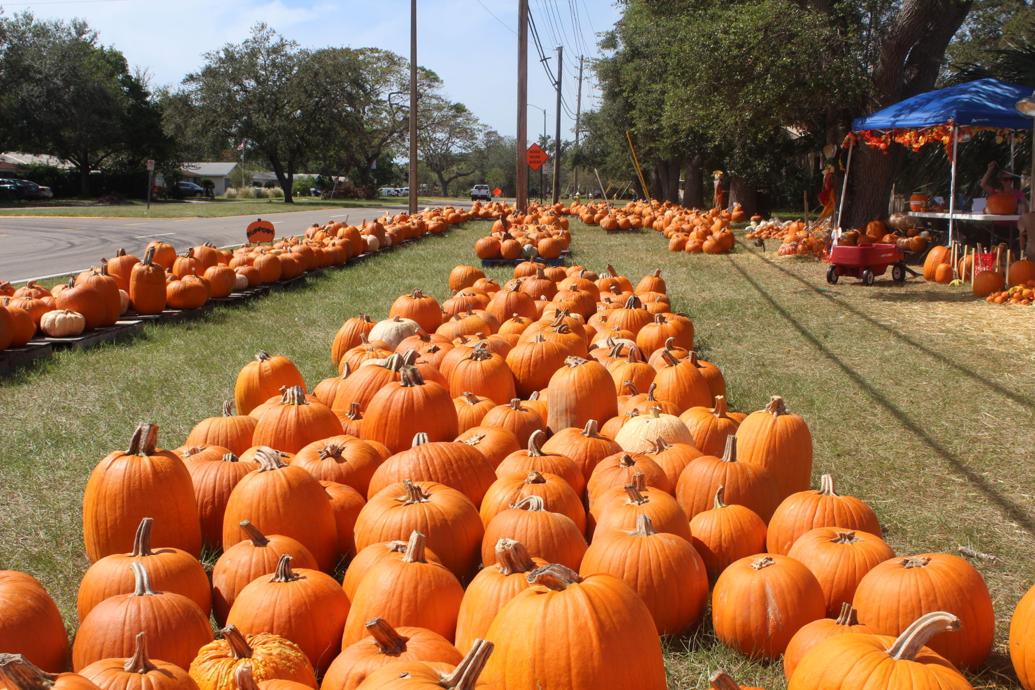 Halloween happenings in Pinellas County Diversions