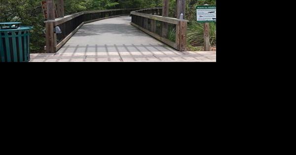 Master plan in the works for Pinewood Cultural Park - Vimarsana News