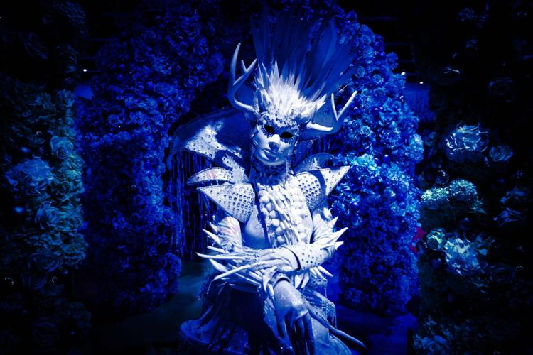 2024 World of WearableArt Awards Competition - Contest Watchers