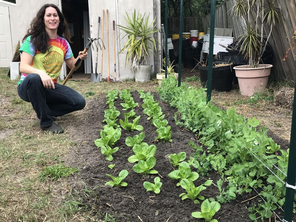 Dunedin Harvest takes root as more people turn to organically grown