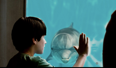 DL-zumpe-pictureperfectpinellas2025-dolphin.png
