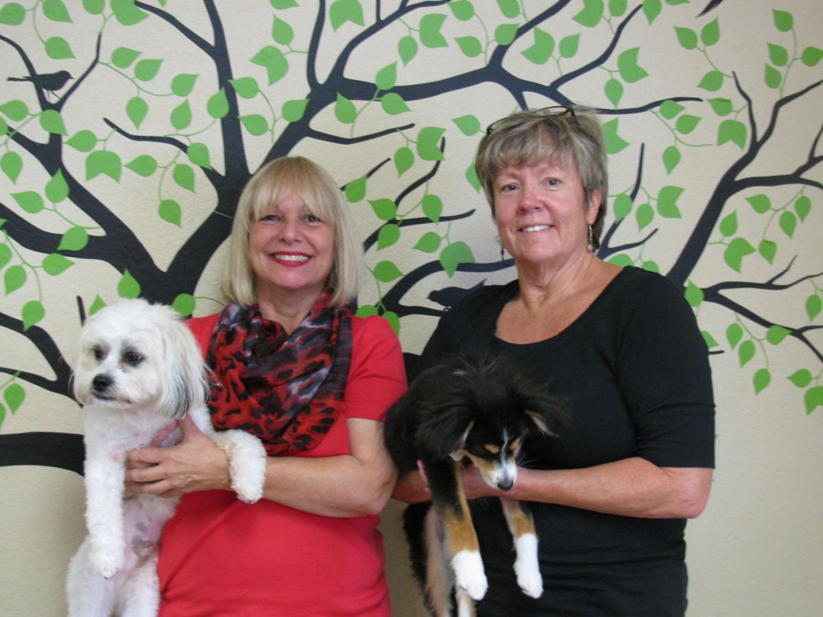 It Is All About The Personal Service At Fluffy Puppies Clearwater Tbnweekly Com Schooner as a #puppy #dogs #pets #cute #pet #dogsofinstagram #ilovemydog #dogstagram #animal #animals #dogoftheday #puppies #pup #dogscorner #goldenretriever 48 likes on instagram 6 comments on instagram. fluffy puppies clearwater