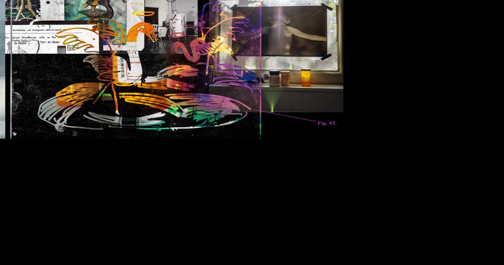 Leepa-Rattner Museum of Art celebrates resilience & connection
