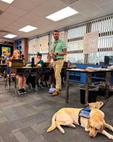 In Scott Finn’s fifth-grade math class in Largo, his service dog is just another pupil