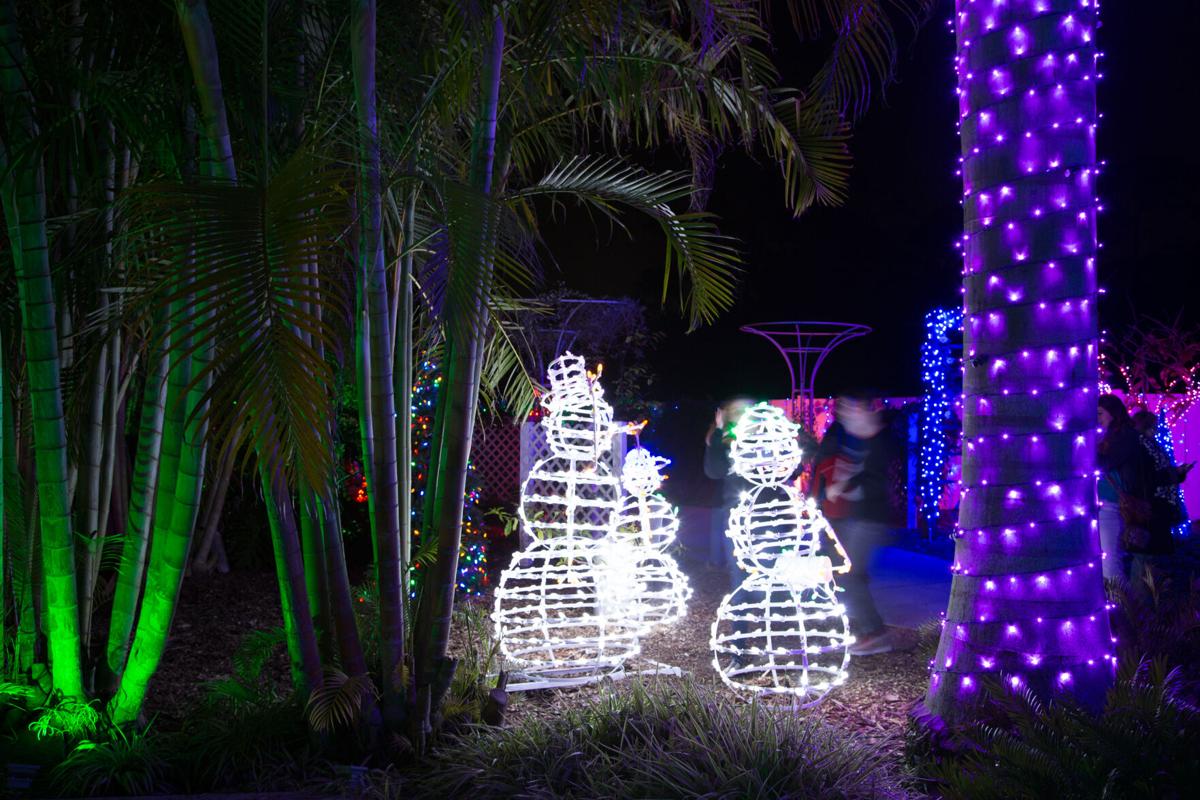 Largo Botanical Gardens Christmas Lights 2021 Holiday Lights In The Gardens Returns In 2021 Largo Tbnweekly Com