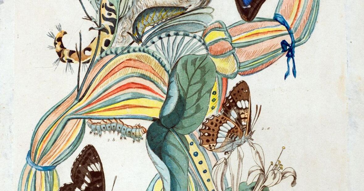 'Floral Fantasies' delight at Dali Museum | Entertainment Calendar - Vimarsana News