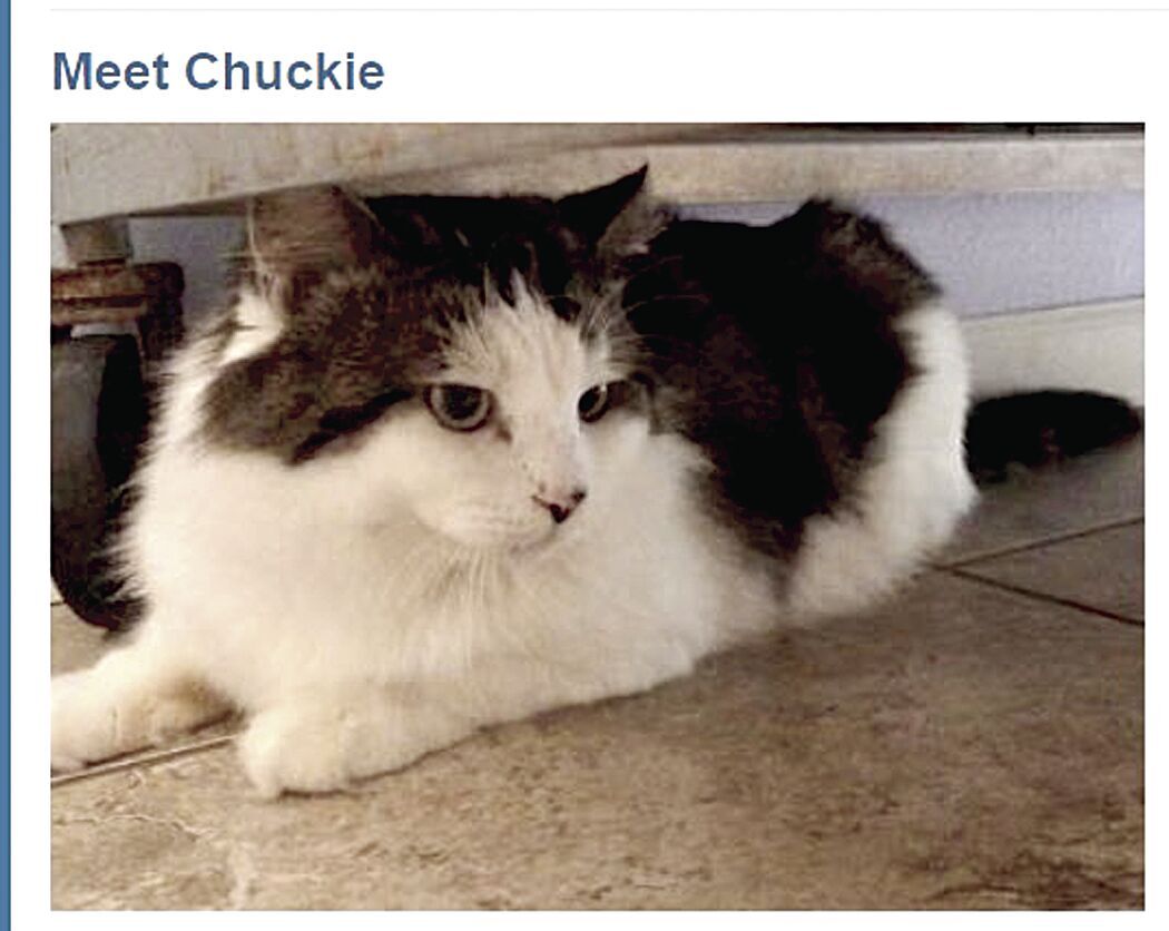 Chuckie
