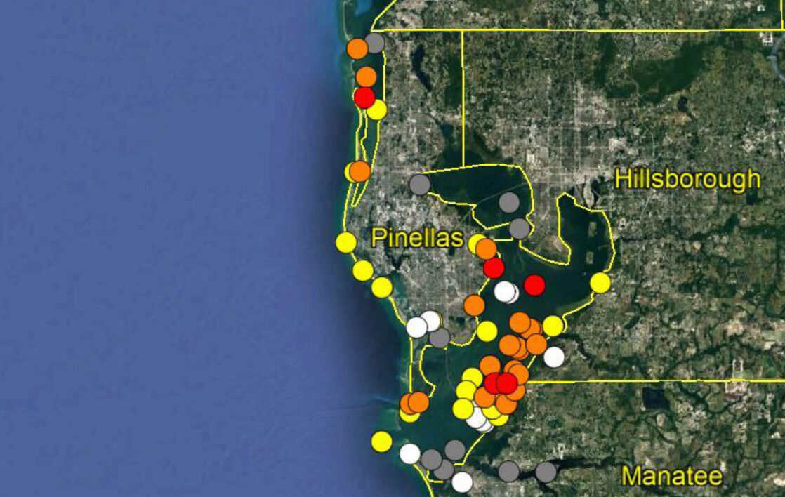 Red Tide Conditions Improving Along Pinellas County S Beaches Pinellas County Tbnweekly Com