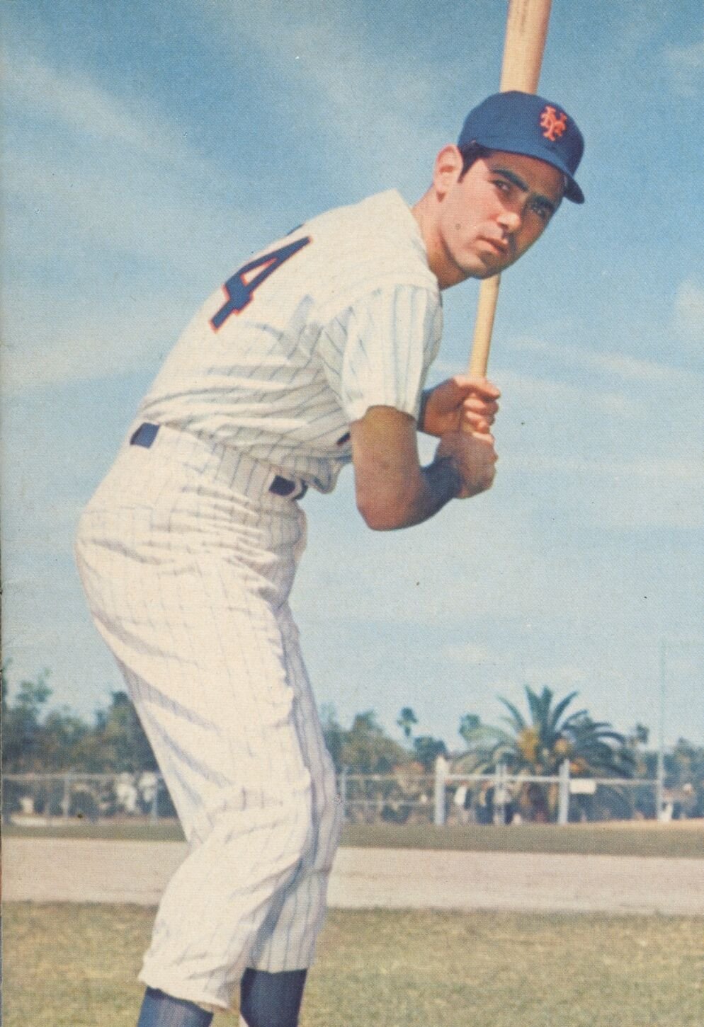 Dr. Shamsky? No, but a key figure in Mets' 1969 success, Sports