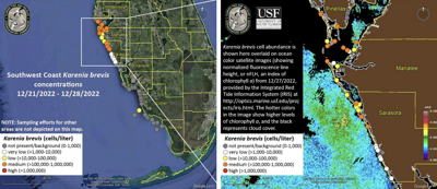 Red tide levels continue to fall
