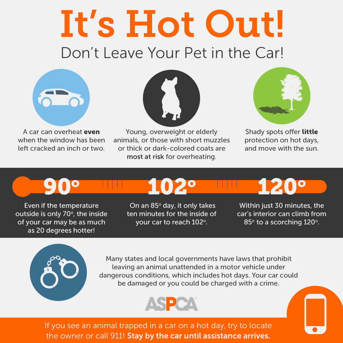 ASPCA offers summer safety tips for pets Pets