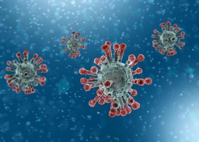 Doh Confirms Mistake In Report Of Coronavirus Death In Pinellas Coronavirus Tbnweekly Com Doh Confirms Mistake In Report Of Coronavirus Death In Pinellas Coronavirus Tbnweekly Com