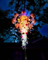Light Up Dunedin! Residents lighting up city ‘one yard at a time’ with colorful chandeliers, artwork