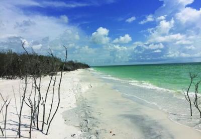 Caladesi Island State Park ranked second-best beach in the U.S. by Dr. Beach