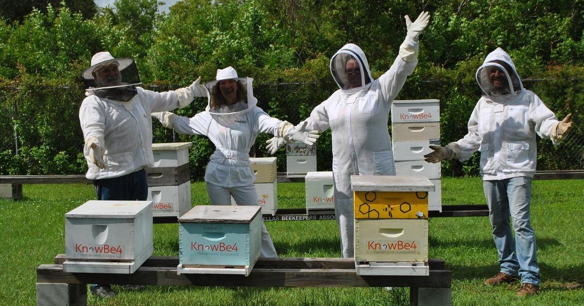 Things to do around Pinellas: Oct 31 Nov 6 Calendar tbnweekly com