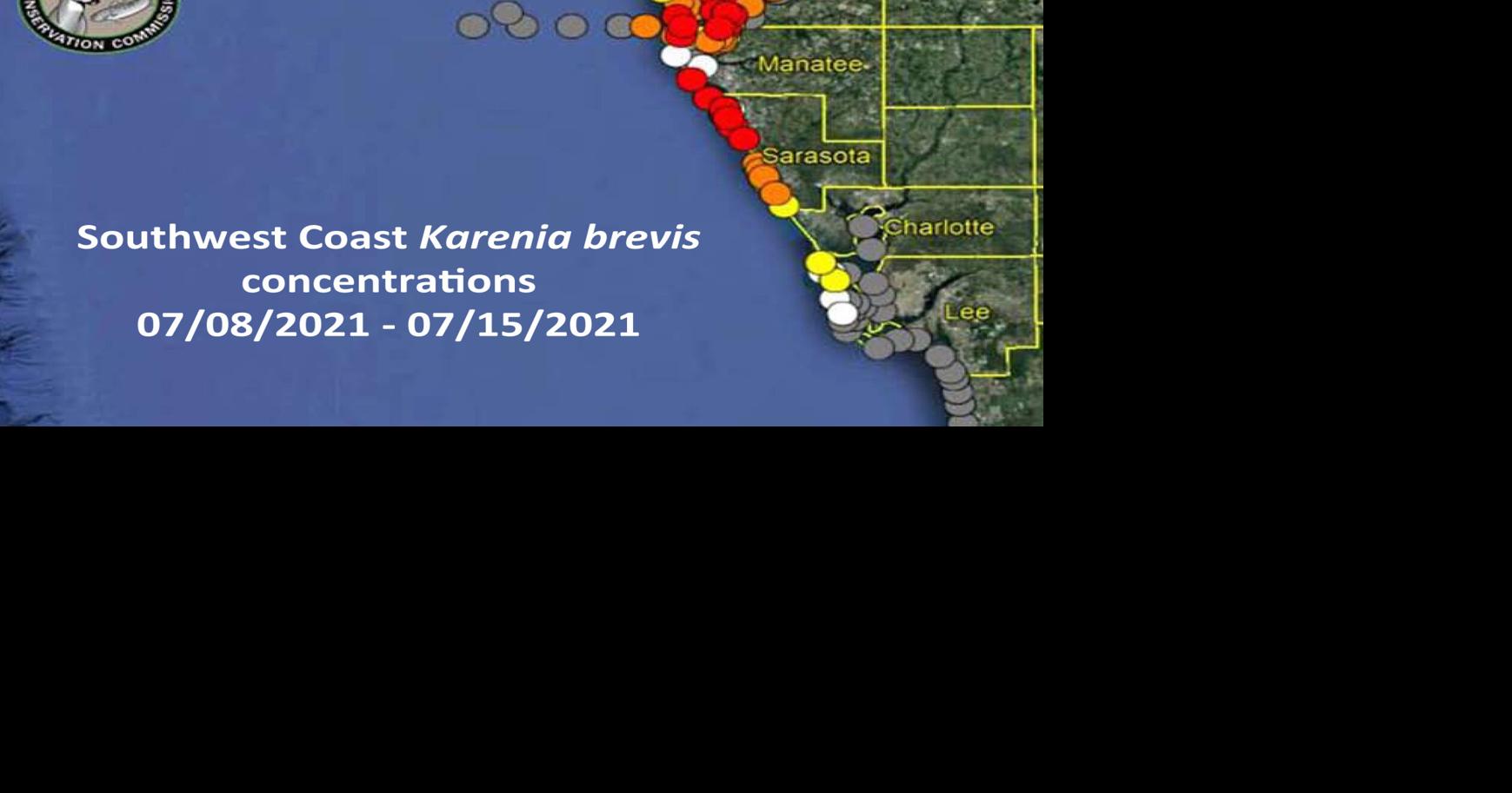 Red tide levels remain high around Pinellas County, Tampa Bay