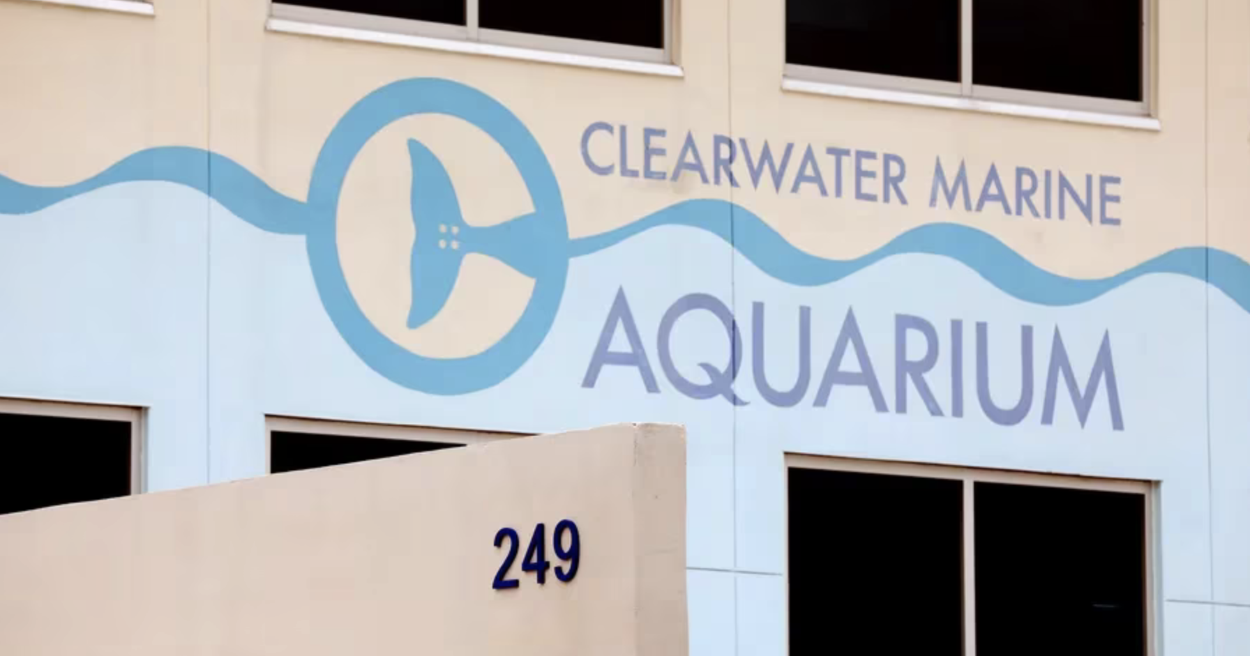Report: Dolphin deaths not due to Clearwater aquarium conditions - Vimarsana News