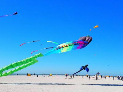 Treasure Island Kite Festival 2022