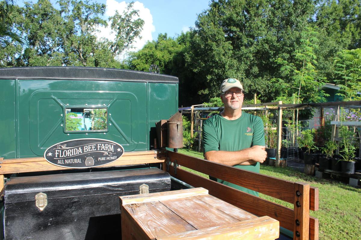Clearwater Bee Farm Is A Buzzing Heaven For Locals And