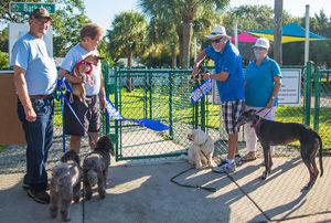 Exploring Indian Rocks Beach Dog Park: A Pet Paradise