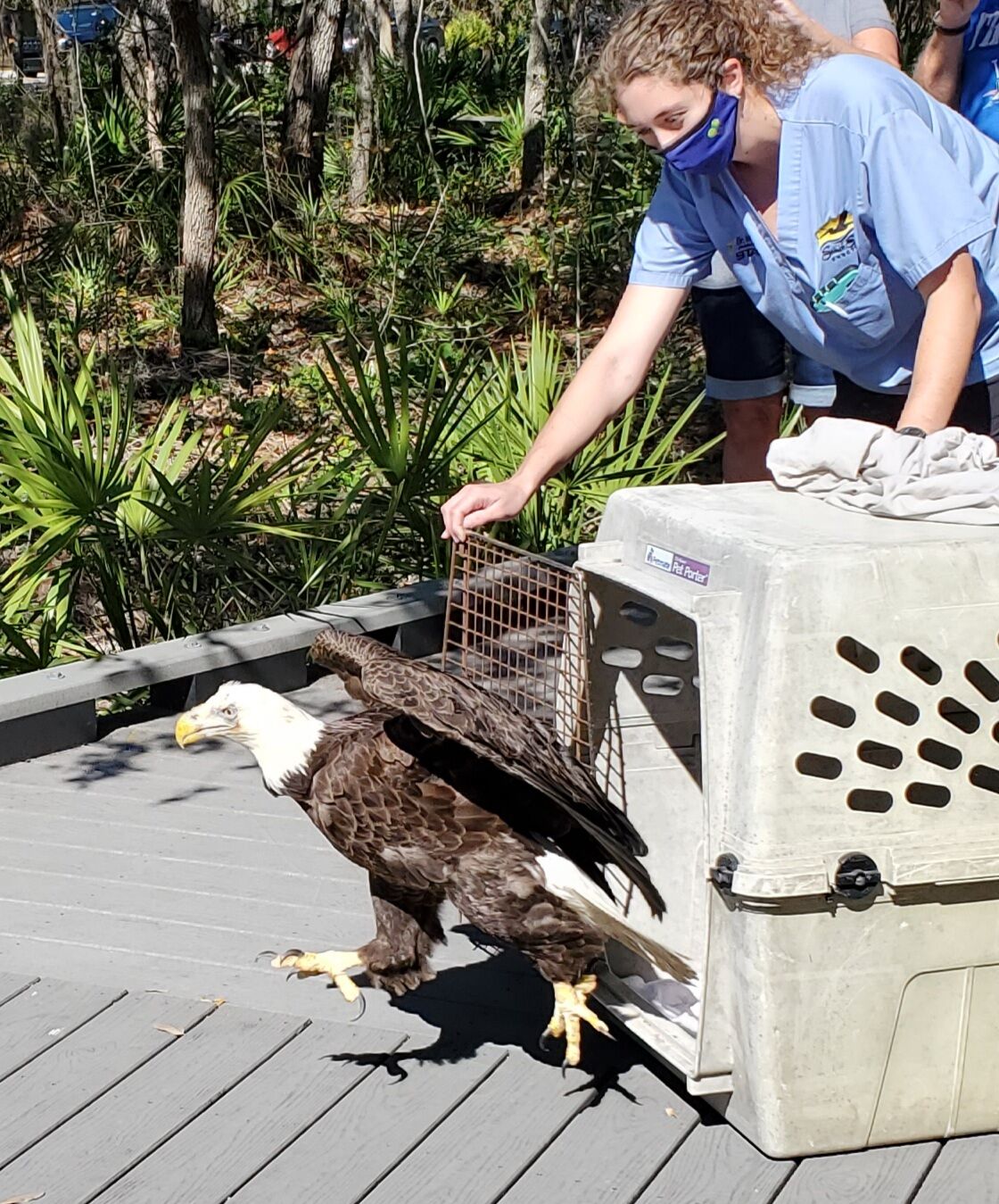 n-bch-Eagle1-012821.jpeg