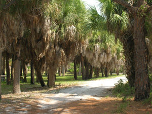 Top Five Tampa Bay Area Hiking Destinations Outdoors Tbnweekly Com