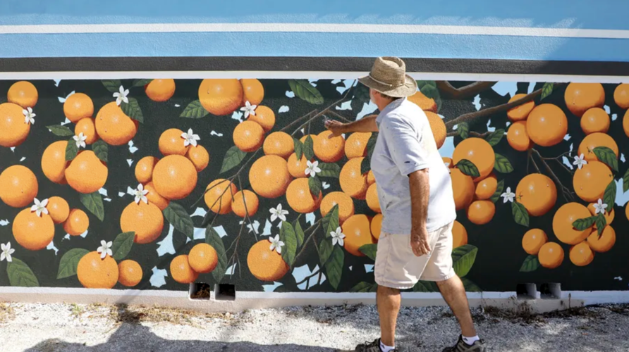 Dunedin artist paints oranges all over town — more than 1,000 so