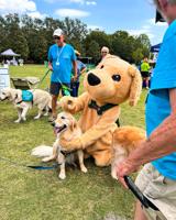 PawFest also celebrates 50th anniversary of Largo PD’s K-9 Unit