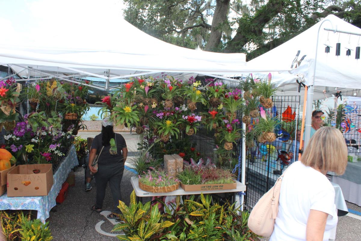Palm Harbor Craft Festival North County