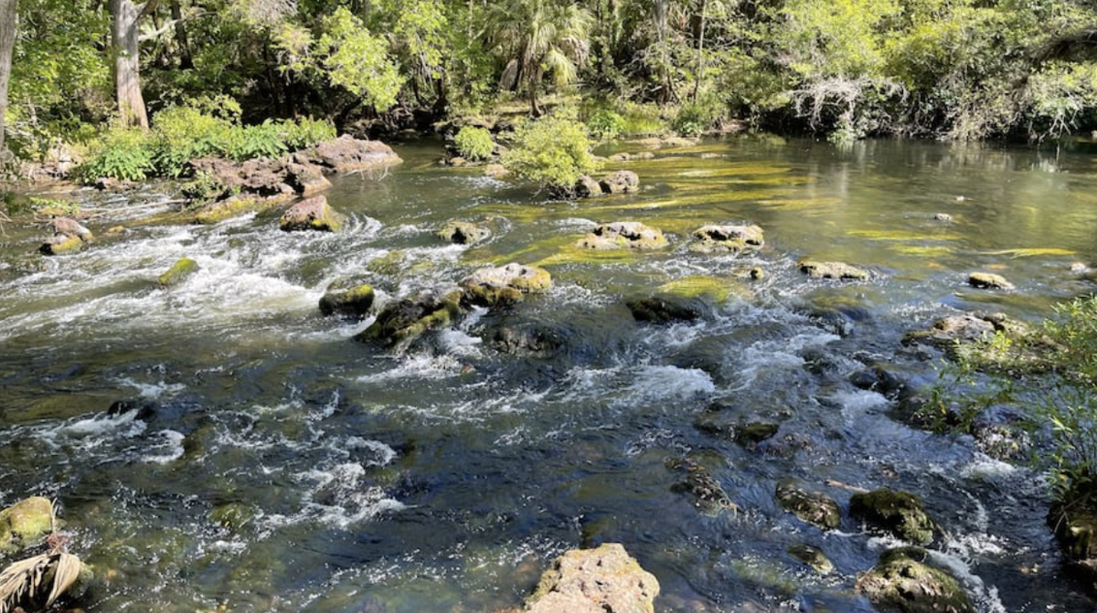 Joe Maddon Q\u0026A: 'The playing field has been leveled', image size:1200x671
