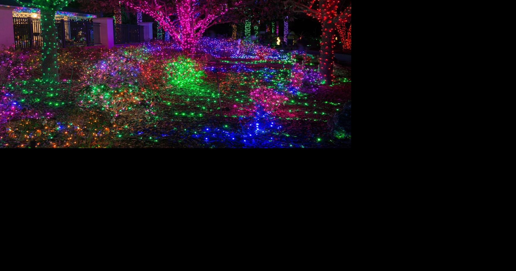 Holiday happenings around Pinellas County Calendar tbnweekly com